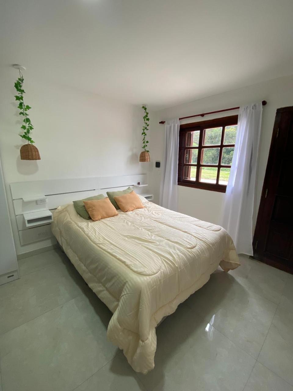 Estudio Alma